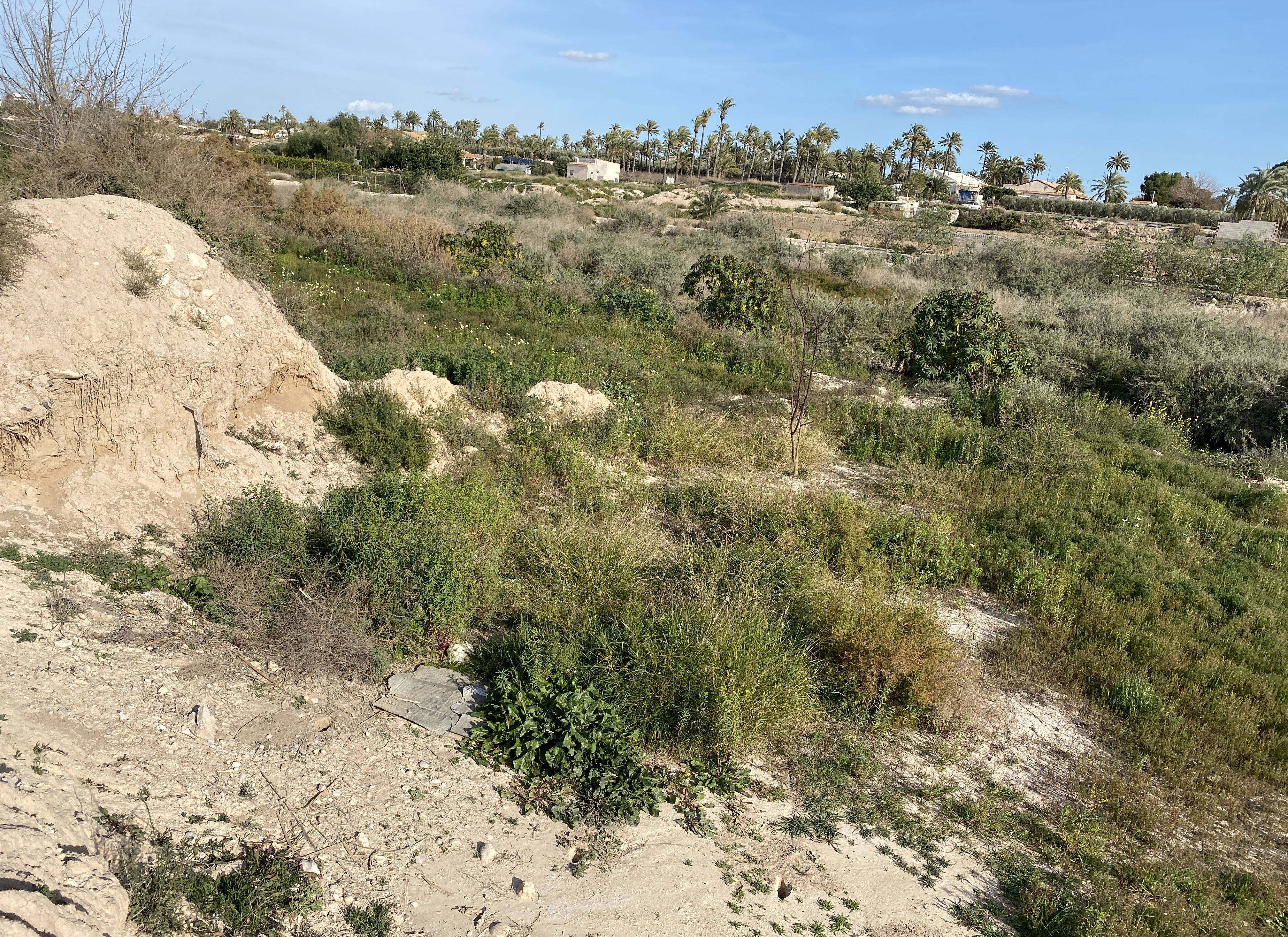 Suelo urbano idustrial en venta por 26000 de 1323m en cpartida de algors en ElcheElx