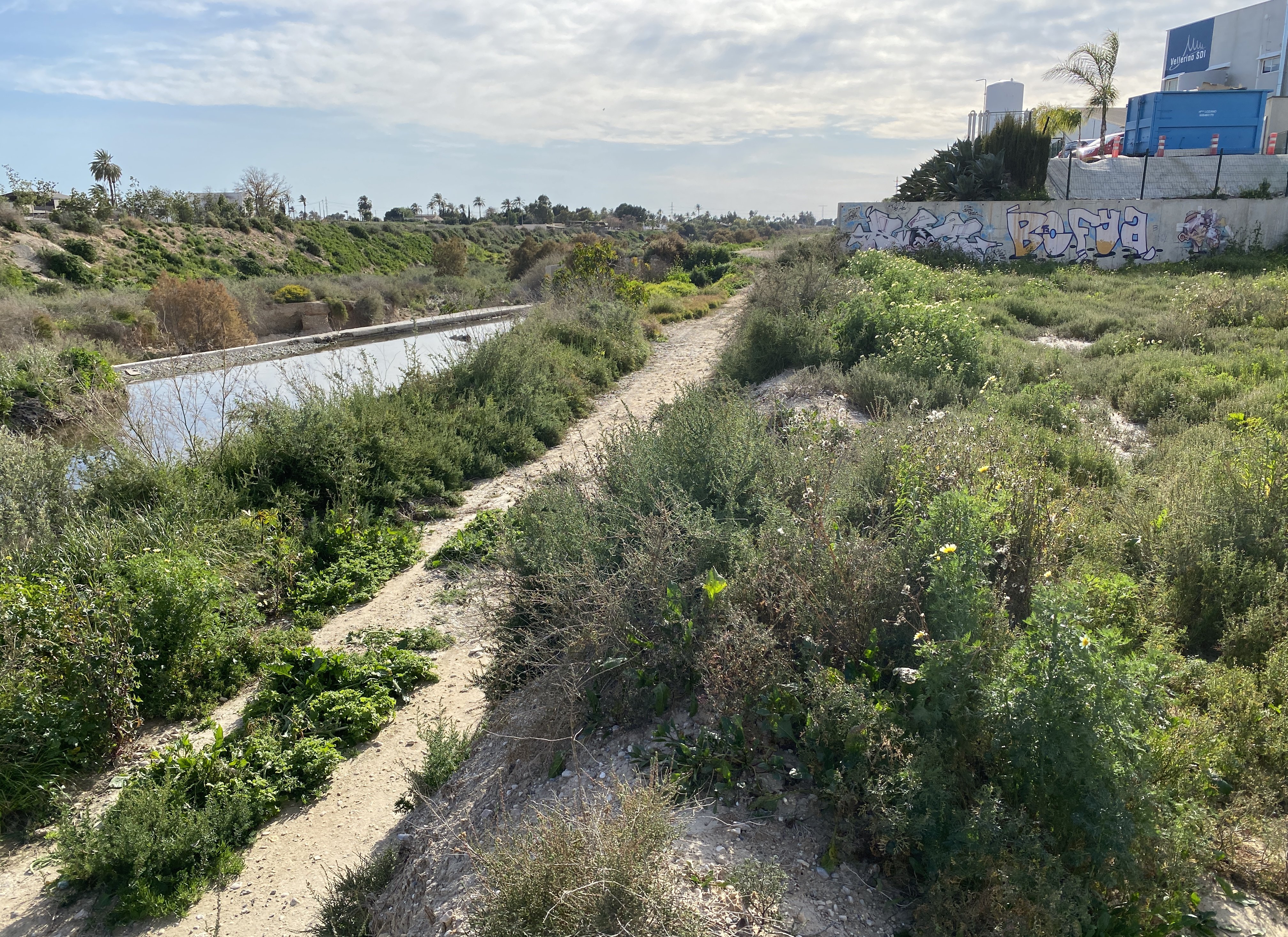 Suelo urbano idustrial en venta por 26000 de 1323m en cpartida de algors en ElcheElx