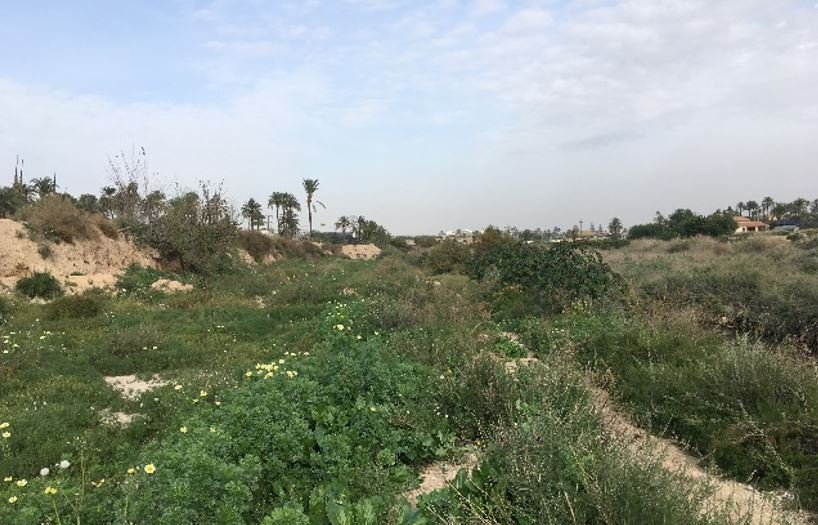 Suelo urbano idustrial en venta por 26000 de 1323m en cpartida de algors en ElcheElx
