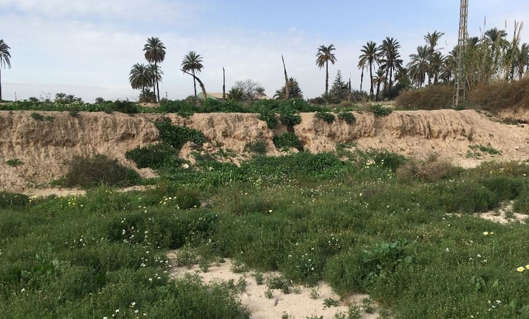 Suelo urbano idustrial en venta por 26000 de 1323m en cpartida de algors en ElcheElx