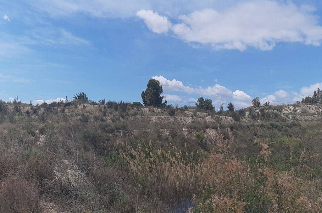 No Urbanizable Rstico en venta  en Calle Baos Los Fortuna Murcia
