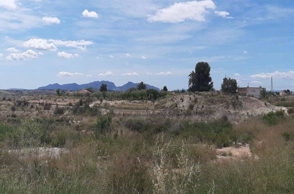 No Urbanizable Rstico en venta  en Calle Baos Los Fortuna Murcia