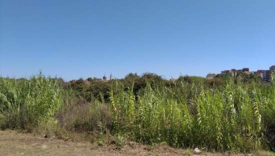 Urbanizable No Programado en venta en Avenida De Larros  Sueca Valencia