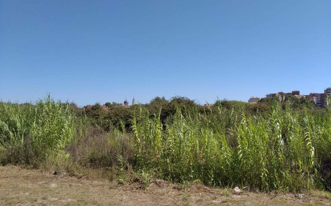 Urbanizable No Programado en venta en Avenida De Larros  Sueca Valencia