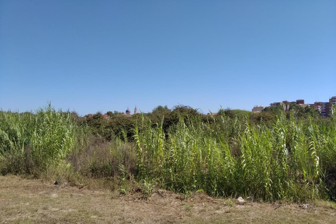 Urbanizable No Programado en venta en Avenida De Larros  Sueca Valencia