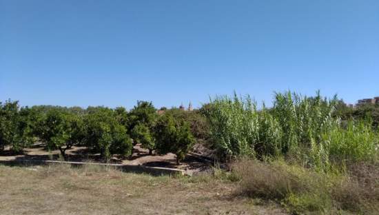 Urbanizable No Programado en venta en Avenida De Larros  Sueca Valencia