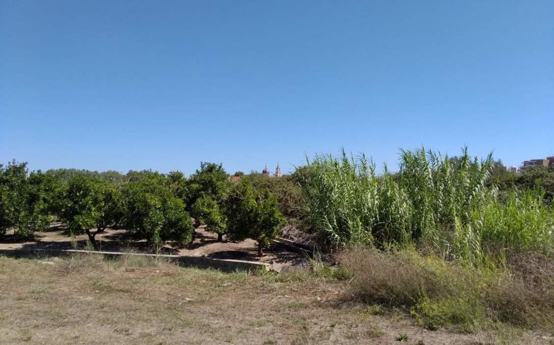 Urbanizable No Programado en venta en Avenida De Larros  Sueca Valencia