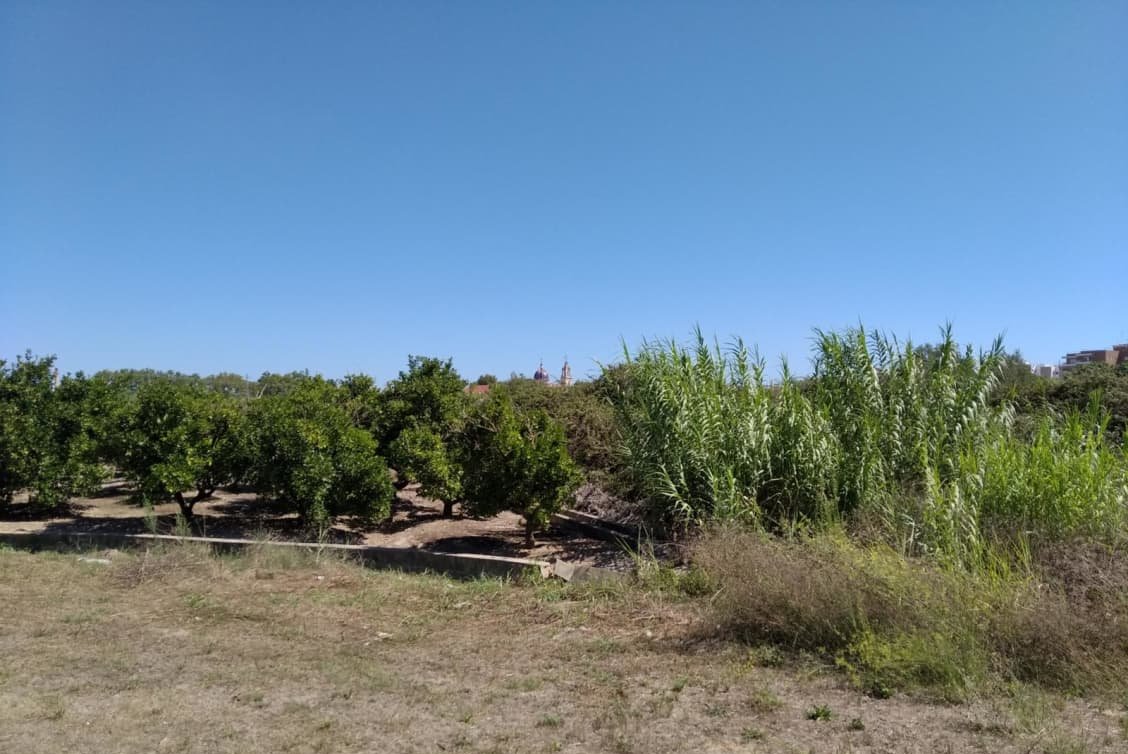 Urbanizable No Programado en venta en Avenida De Larros  Sueca Valencia