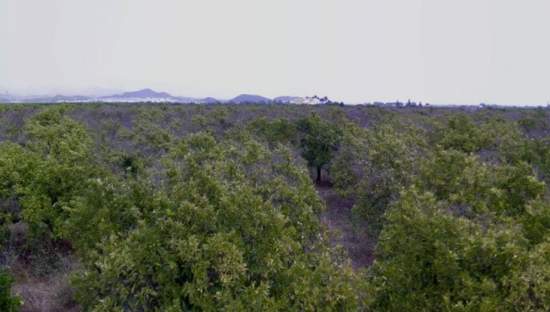 Terreno en venta en Sagunto, Valencia