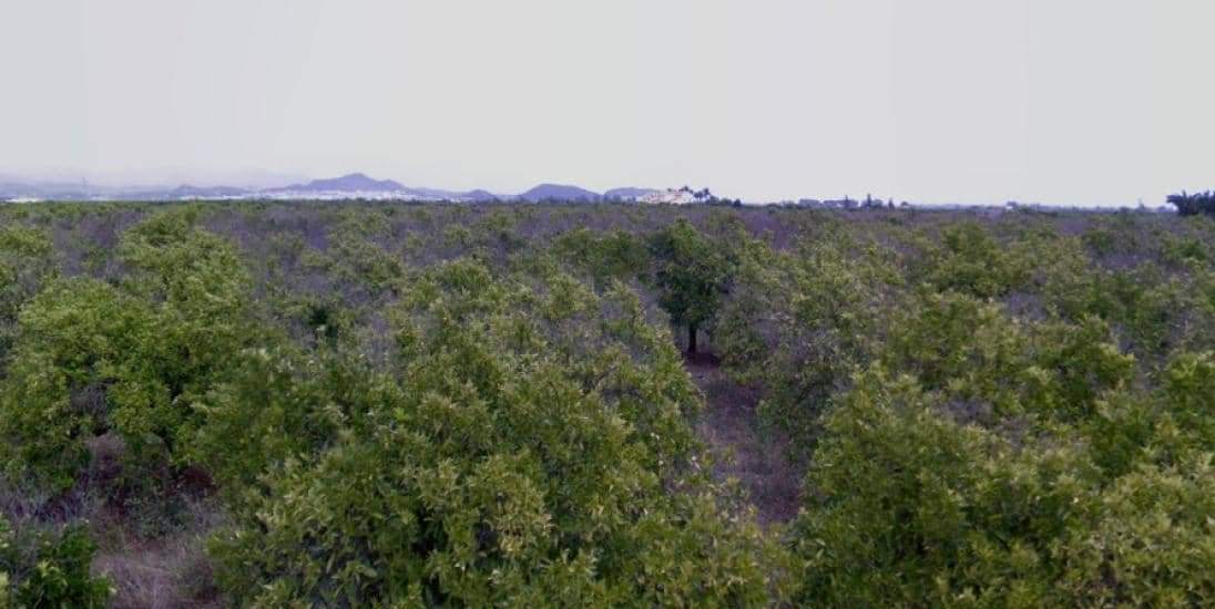 Terreno en venta en Sagunto, Valencia