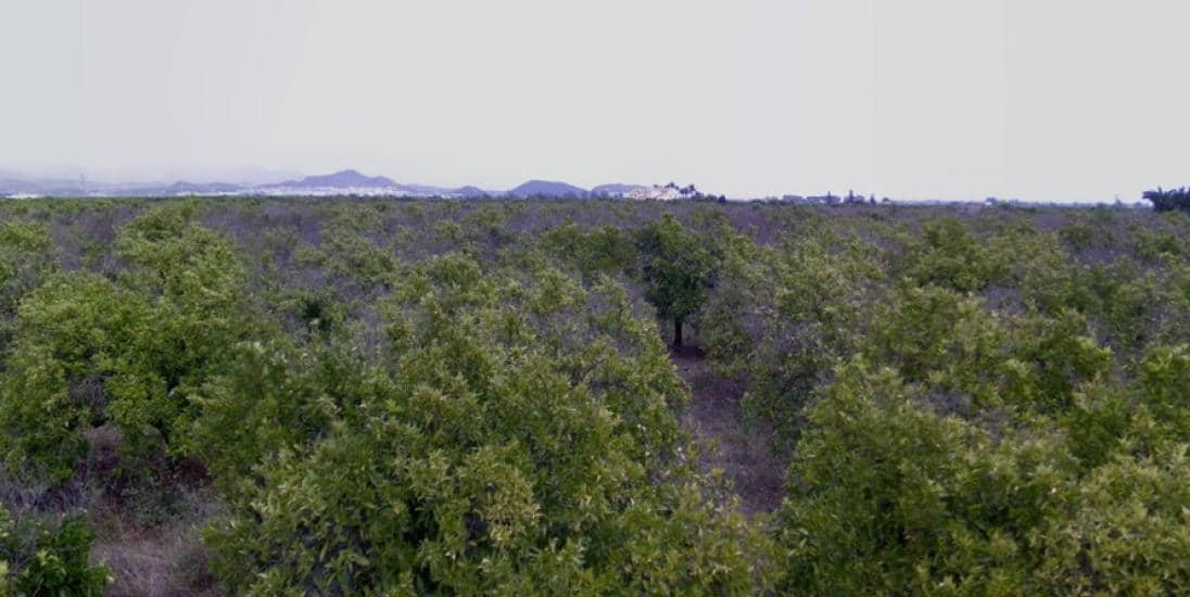 Terreno en venta en Sagunto, Valencia