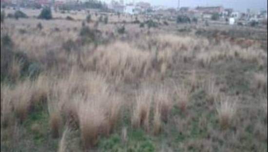 Solar en venta en Coscollosa, Bajo, 12004, Castellón De La Plana Castellón