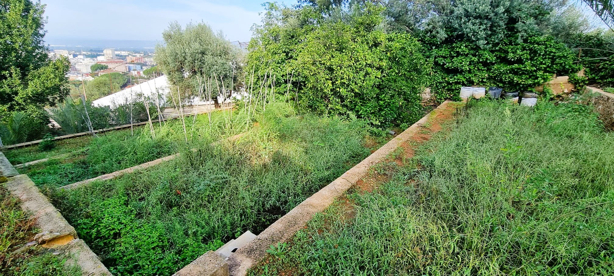 Chalet en venta en Alzira, Valencia