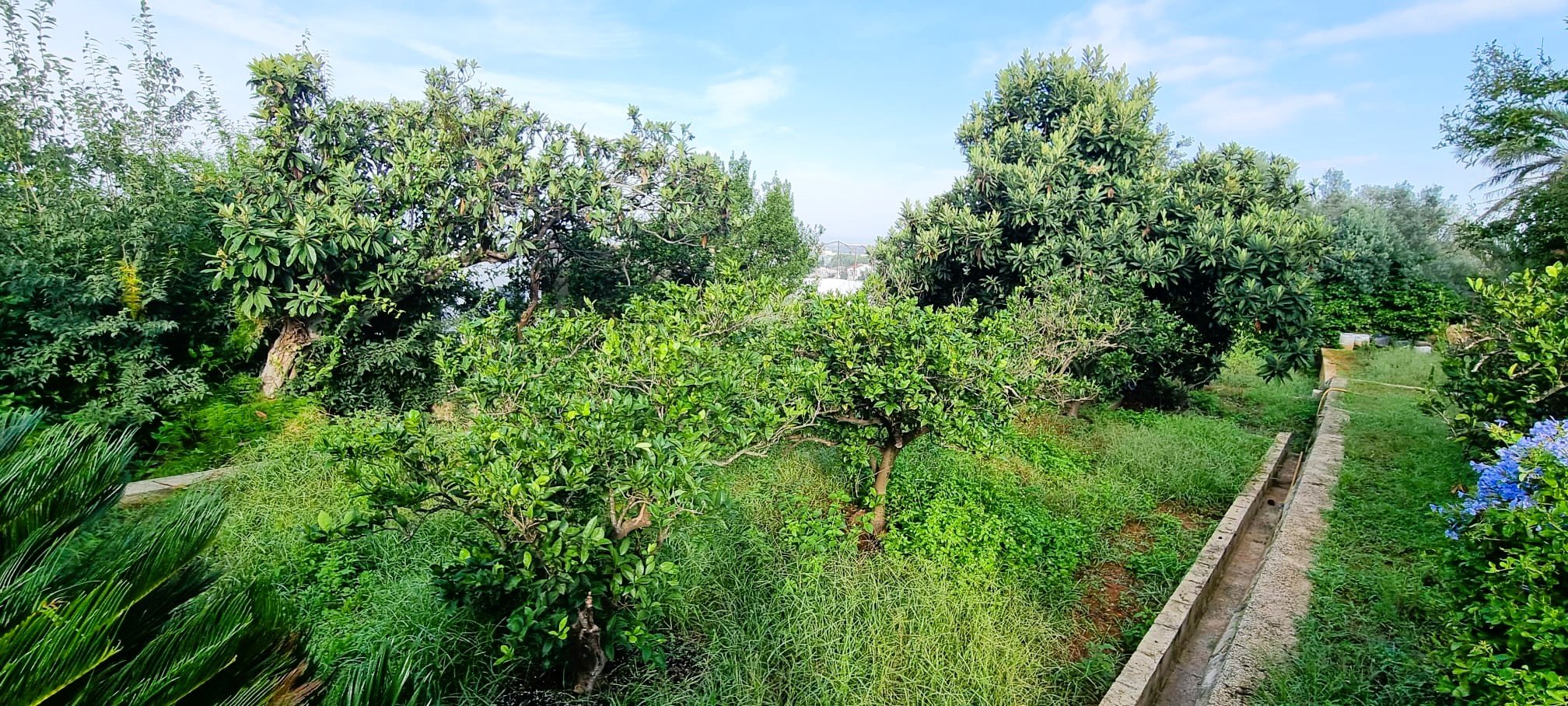 Chalet en venta en Alzira, Valencia