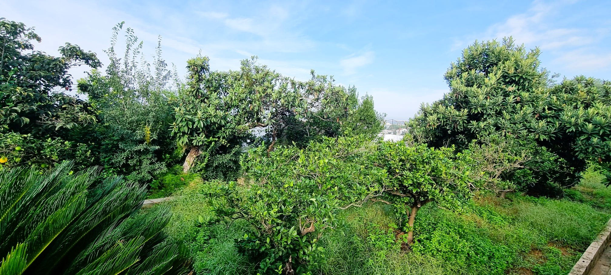 Chalet en venta en Alzira, Valencia