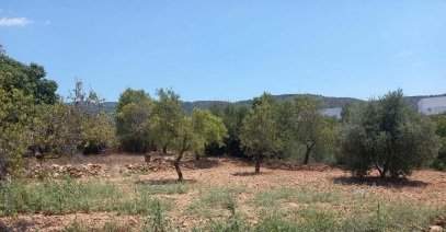 Suelo en Sant Joan de Moró - Castellón -