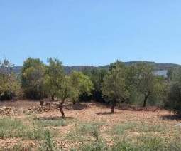 Suelo en Sant Joan de Moró - Castellón -