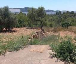 Suelo en Sant Joan de Moró - Castellón -