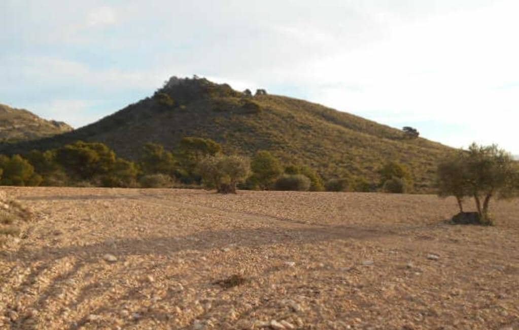 No Urbanizable Rstico en venta  en Pasaje Solana De La Pava Yecla Murcia