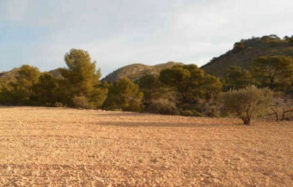 No Urbanizable Rstico en venta  en Pasaje Solana De La Pava Yecla Murcia