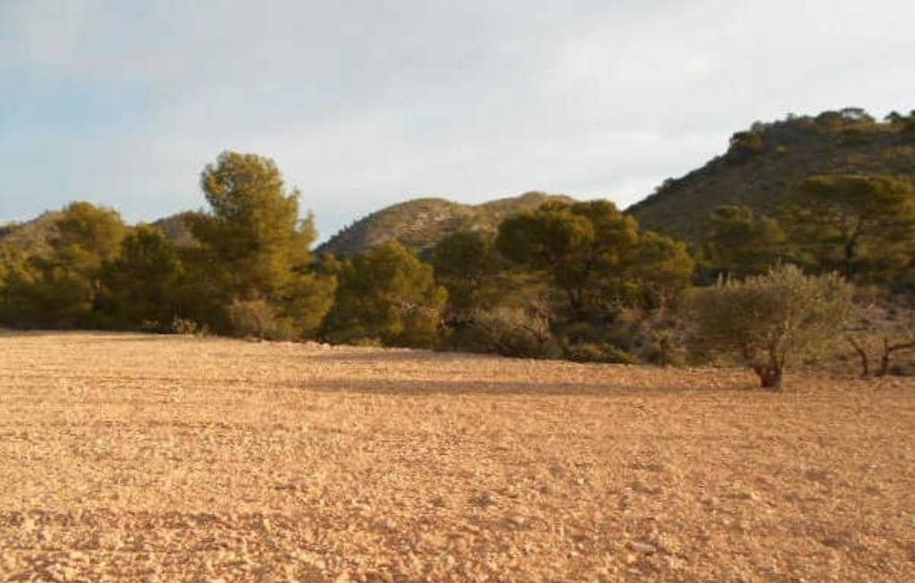 No Urbanizable Rstico en venta  en Pasaje Solana De La Pava Yecla Murcia