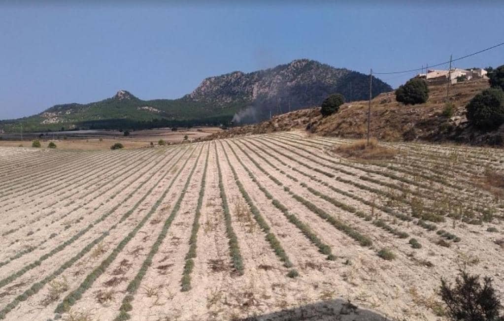No Urbanizable Rstico en venta  en Pasaje Solana De La Pava Yecla Murcia