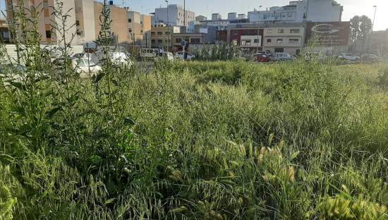 Terreno Urbano en venta en Burriana, Castellón