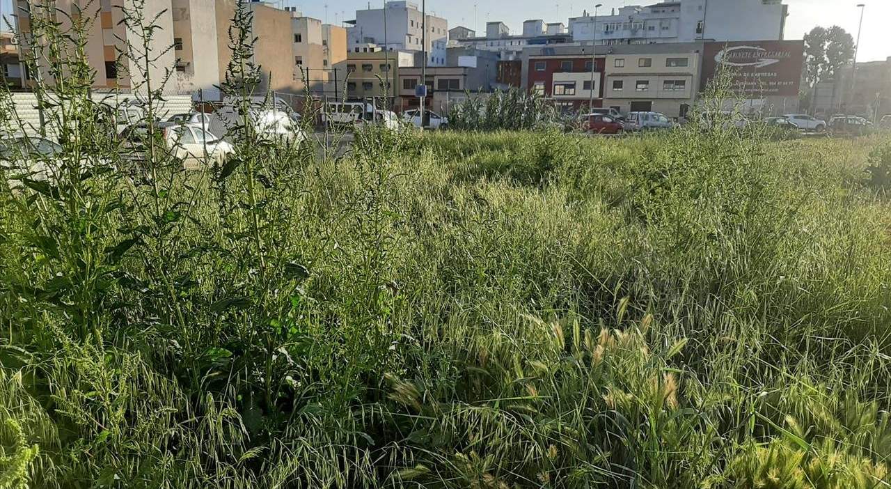 Terreno Urbano en venta en Burriana, Castellón