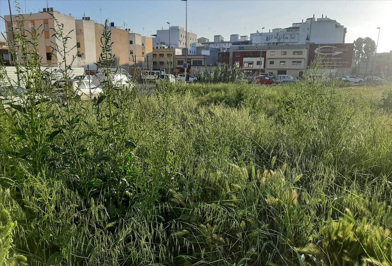 Terreno Urbano en venta en Burriana, Castellón