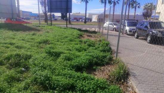 Terreno Urbano en venta en Burriana, Castellón