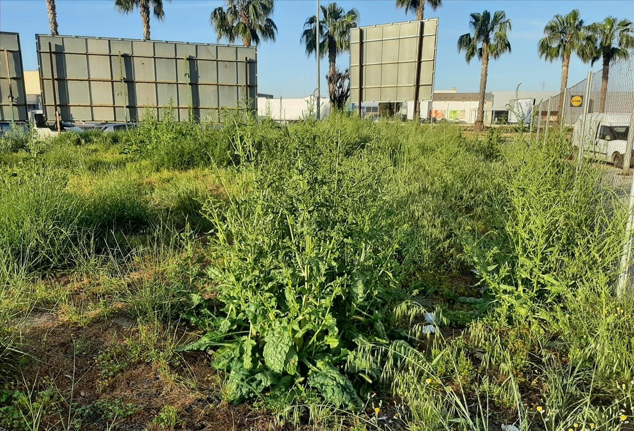 Terreno Urbano en venta en Burriana, Castellón