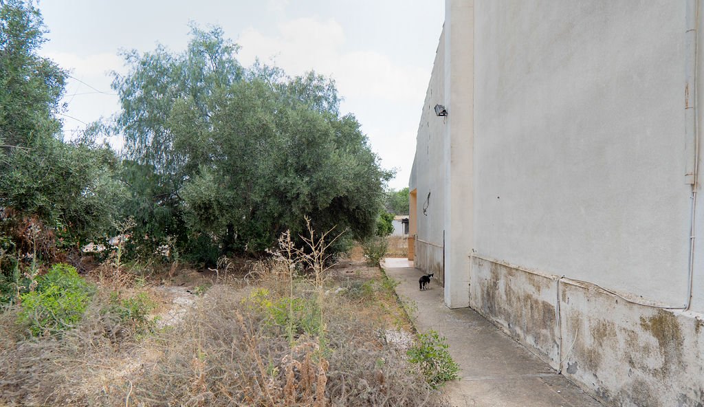 Chalet Independiente en venta en Partida Jorge Fuente lamo De Murcia Murcia