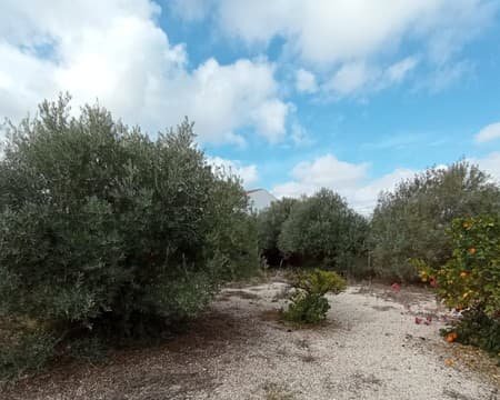 Chalet Independiente en venta en Partida Jorge Fuente lamo De Murcia Murcia