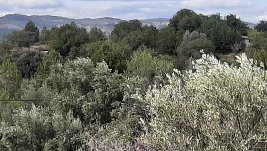 Terreno Urbano en venta en Sant Joan De Moró, Castellón
