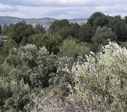 Terreno Urbano en venta en Sant Joan De Moró, Castellón