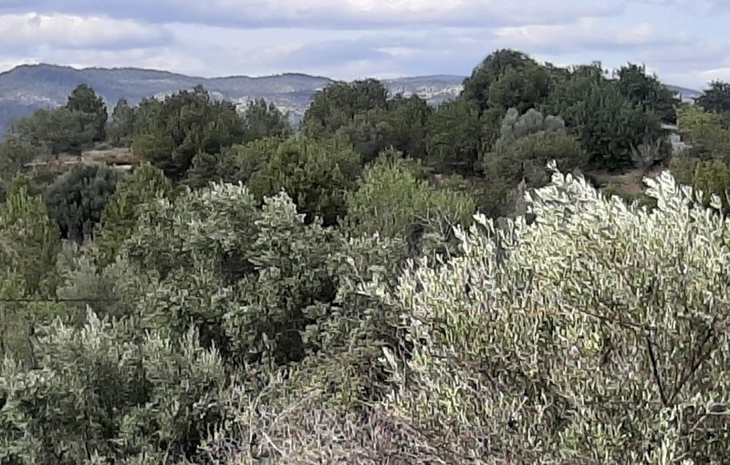 Terreno Urbano en venta en Sant Joan De Moró, Castellón