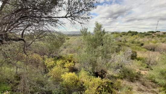 Terreno Urbano en venta en Sant Joan De Moró, Castellón