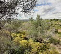 Terreno Urbano en venta en Sant Joan De Moró, Castellón