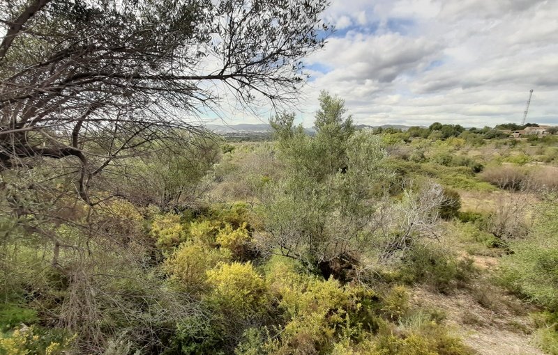 Terreno Urbano en venta en Sant Joan De Moró, Castellón