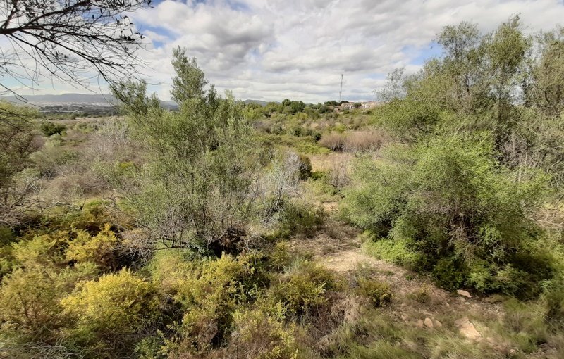 Terreno Urbano en venta en Sant Joan De Moró, Castellón