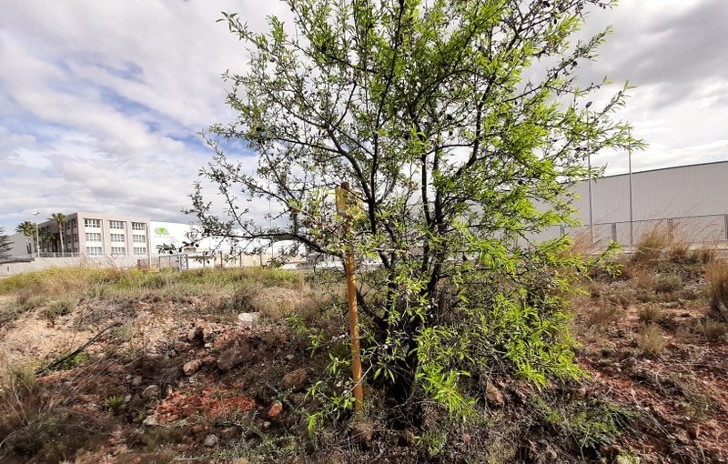 Terreno Urbano en venta en Sant Joan De Moró, Castellón