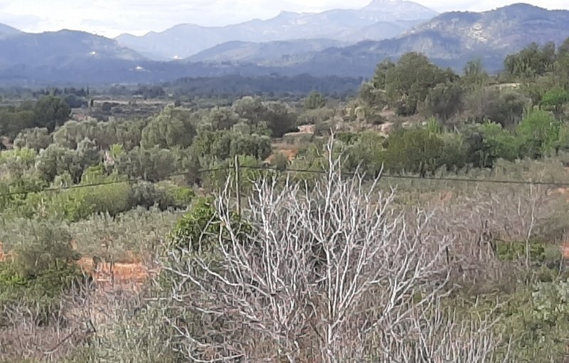 Terreno Urbano en venta en Sant Joan De Moró, Castellón