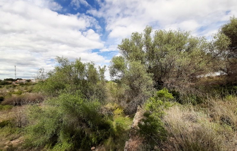 Terreno Urbano en venta en Sant Joan De Moró, Castellón