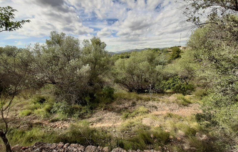 Terreno Urbano en venta en Sant Joan De Moró, Castellón