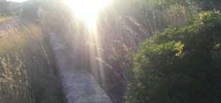 Adquiere finca rstica por 10000 con 4302m en crustica en paraje rambla canelles-polig 23-parcela 200 Cabanes