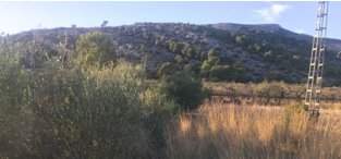 Adquiere finca rstica por 10000 con 4302m en crustica en paraje rambla canelles-polig 23-parcela 200 Cabanes