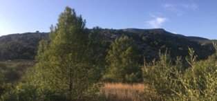 Adquiere finca rstica por 10000 con 4302m en crustica en paraje rambla canelles-polig 23-parcela 200 Cabanes