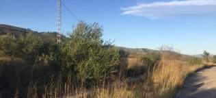 Adquiere finca rstica por 10000 con 4302m en crustica en paraje rambla canelles-polig 23-parcela 200 Cabanes