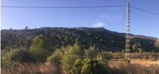 Adquiere finca rstica por 10000 con 4302m en crustica en paraje rambla canelles-polig 23-parcela 200 Cabanes