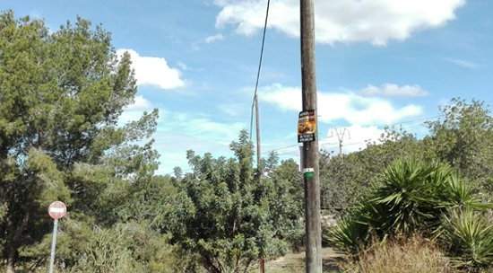 Suelo mixto en C Pinzón-Corral Blanc, Torrent Valencia